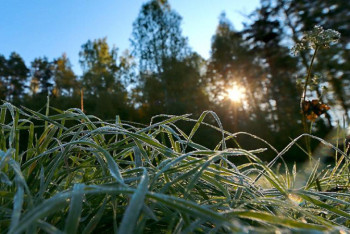 Фотография к новости: Заморозки ночью ожидаются на юге страны 12 октября