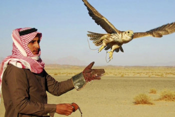 Фотография к новости: Более 60 млн долларов выделили арабские страны на разведение краснокнижных птиц в Казахстане 