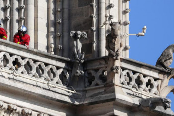 Фотография к новости: Французская телекомпания снимет сериал о пожаре в Нотр-Даме