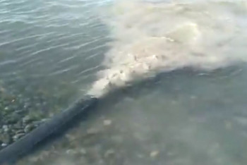 Фотография к новости: Минэкологии планирует закрыть гостиницу, сливавшую грязную воду в Алаколь