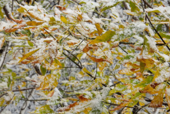 Фотография к новости: Казахстанцев предупреждают о гололеде и метели 