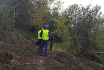 Фотография к новости: Незаконная вырубка яблоневого сада в Алматы может спровоцировать оползни