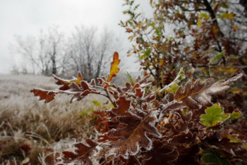 Фотография к новости: Синоптики рассказали о погоде в Казахстане 19 октября