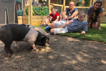 Фотография к новости: Героям британского телешоу предложат съесть своих питомцев