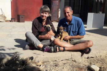 Фотография к новости: Иностранные туристы пытаются пристроить щенков, найденных в горах Мангистау