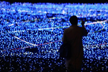 Фотография к новости: Синие светодиоды могут ускорять старение мозга