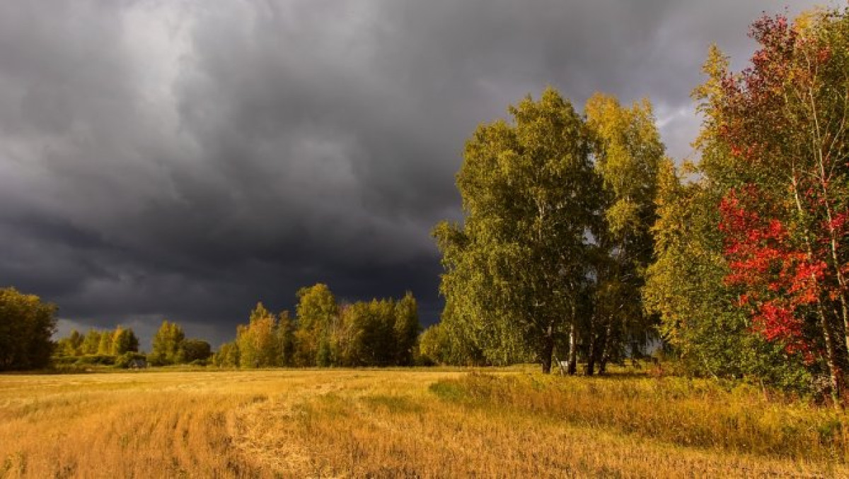  Иллюстративное - (с) mypiter.kz