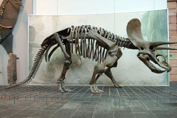 Фотография к новости: Более половины банков мира вымрут как динозавры, считают в McKinsey