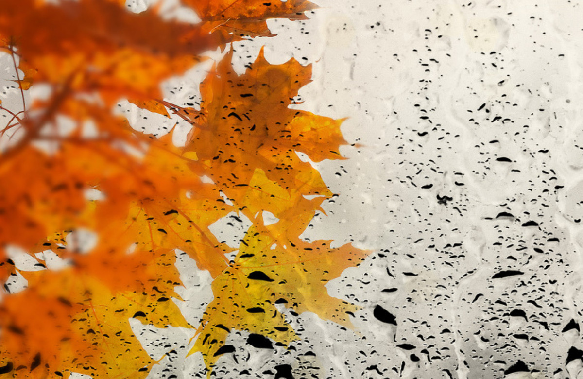  иллюстративное