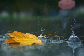 Фотография к новости: Дожди и усиление ветра ожидаются 29 октября в Казахстане