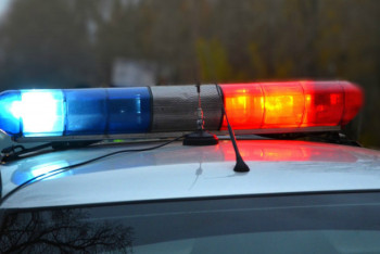 Фотография к новости: Авто казахстанских инспекторов по охране животных получат мигалки