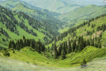 Фотография к новости: Президент поручил вернуть незаконно выданные земли Иле-Алатауского нацпарка 