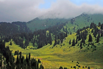 Фотография к новости: "Не нужен он": Токаев запретил заниматься строительством курорта Кок-Жайлау