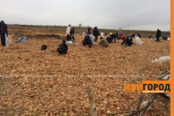 Фотография к новости: Мешками вывозят высыпанный в степи лук жители ЗКО