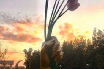 Фотография к новости: Торчащая из-под земли пятиметровая рука появилась в дендропарке Шымкента