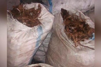 Фотография к новости: Более 20 мешков золотого корня изъяли у жителей ВКО