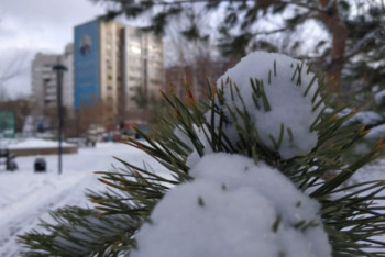 Фотография к новости: Туман и гололед сохраняются в Нур-Султане