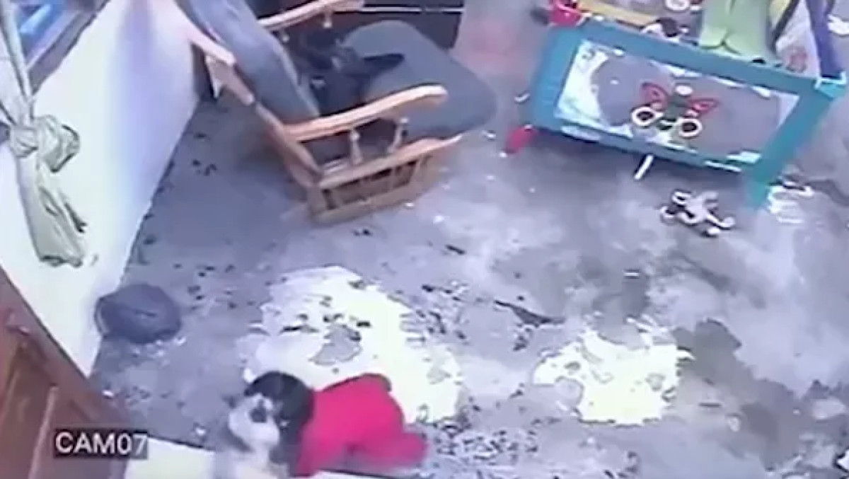  Twitter @kegblgnunfaedh. 