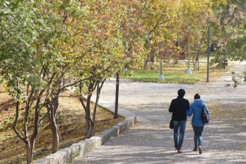 Фотография к новости: Деревья будут оцифрованы и получат паспорта в Актобе