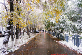 Фотография к новости: Медики рассказали, чем опасна для человека смена погоды