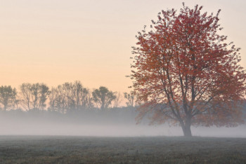Фотография к новости: Какой будет погода в Казахстане 11 ноября