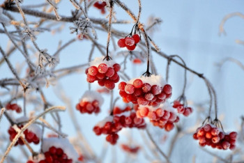 Фотография к новости: Какая погода ожидает казахстанцев 12 ноября