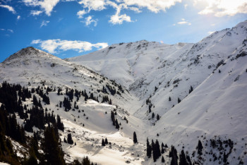 Фотография к новости: Пропавшую в горах Алматы девушку ищут более 50 полицейских