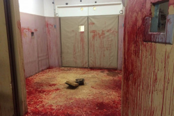 Фотография к новости: Живых лошадей забивали топором в Атырау