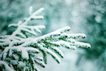 Фотография к новости: Какая погода ожидает казахстанцев 14 ноября