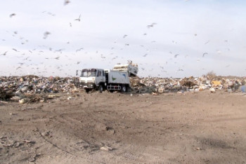 Фотография к новости: Почти 260 стихийных мусорных свалок выявили в Атырау