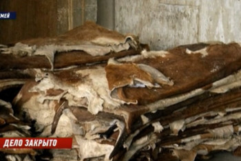 Фотография к новости: 10 лет не ведут хозяйственную деятельность – решение о признании банкротом кожмехкомбината в Семее пояснили в суде ВКО