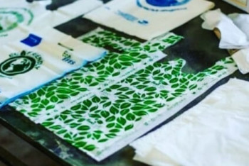 Фотография к новости: Где в Казахстане искать альтернативу полиэтиленовым пакетам