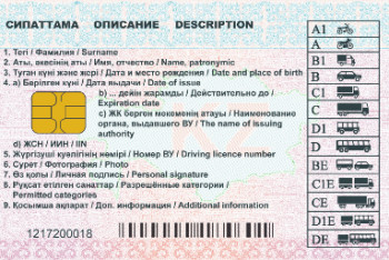 Фотография к новости: Как изменится дизайн водительских удостоверений, рассказали в МВД 