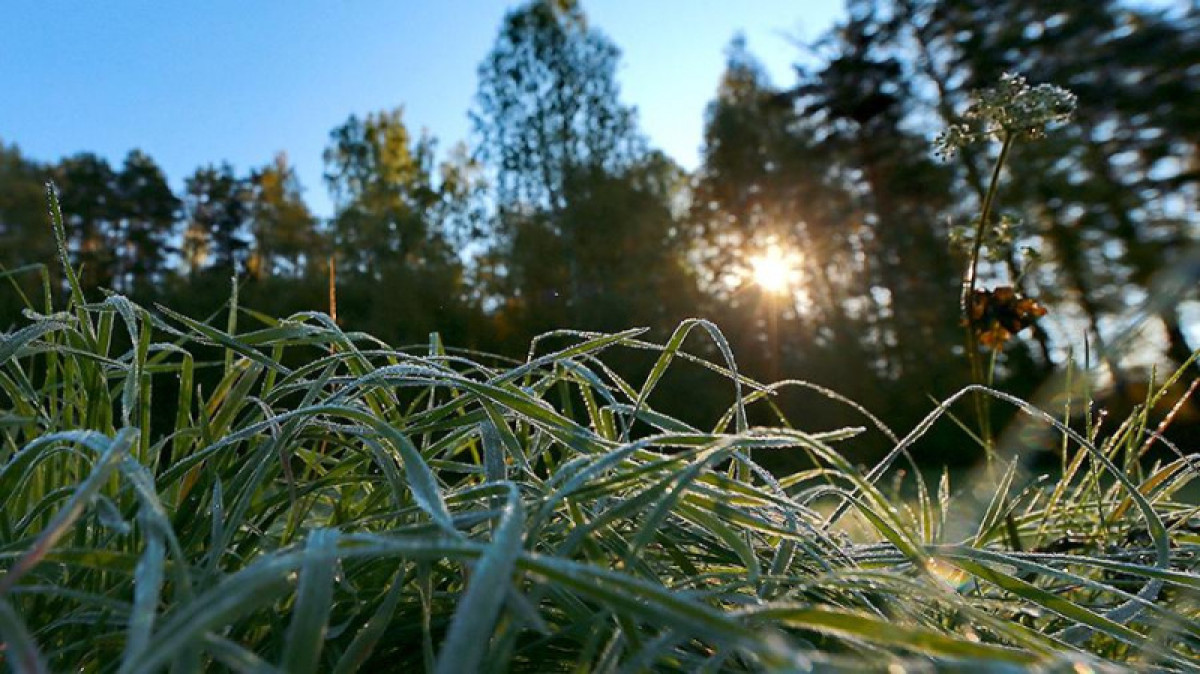  иллюстративное