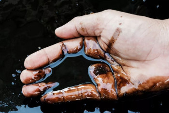 Фотография к новости: Признаки нефти обнаружены на юге Казахстана