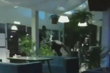 Фотография к новости: Всадник на коне заехал в кафе в Алматинской области