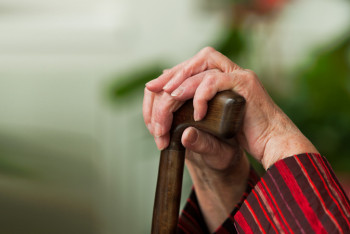 Фотография к новости: Пожилого соседа подозревают в убийстве 80-летней пенсионерки в СКО