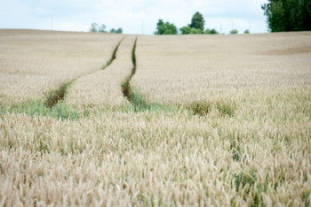 Фотография к новости: Токаев поручил ускорить решение вопросов с нехваткой сельхозтехники и изъятием земель у латифундистов