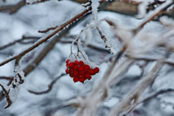 Фотография к новости: О погоде на выходные рассказали синоптики
