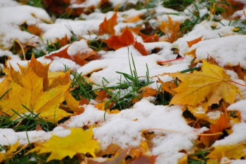 Фотография к новости: Повышение температуры и осадки прогнозируют синоптики в ближайшие трое суток 