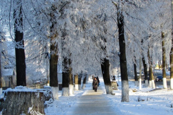 Фотография к новости: Потепление прогнозируют в Казахстане 26 ноября 