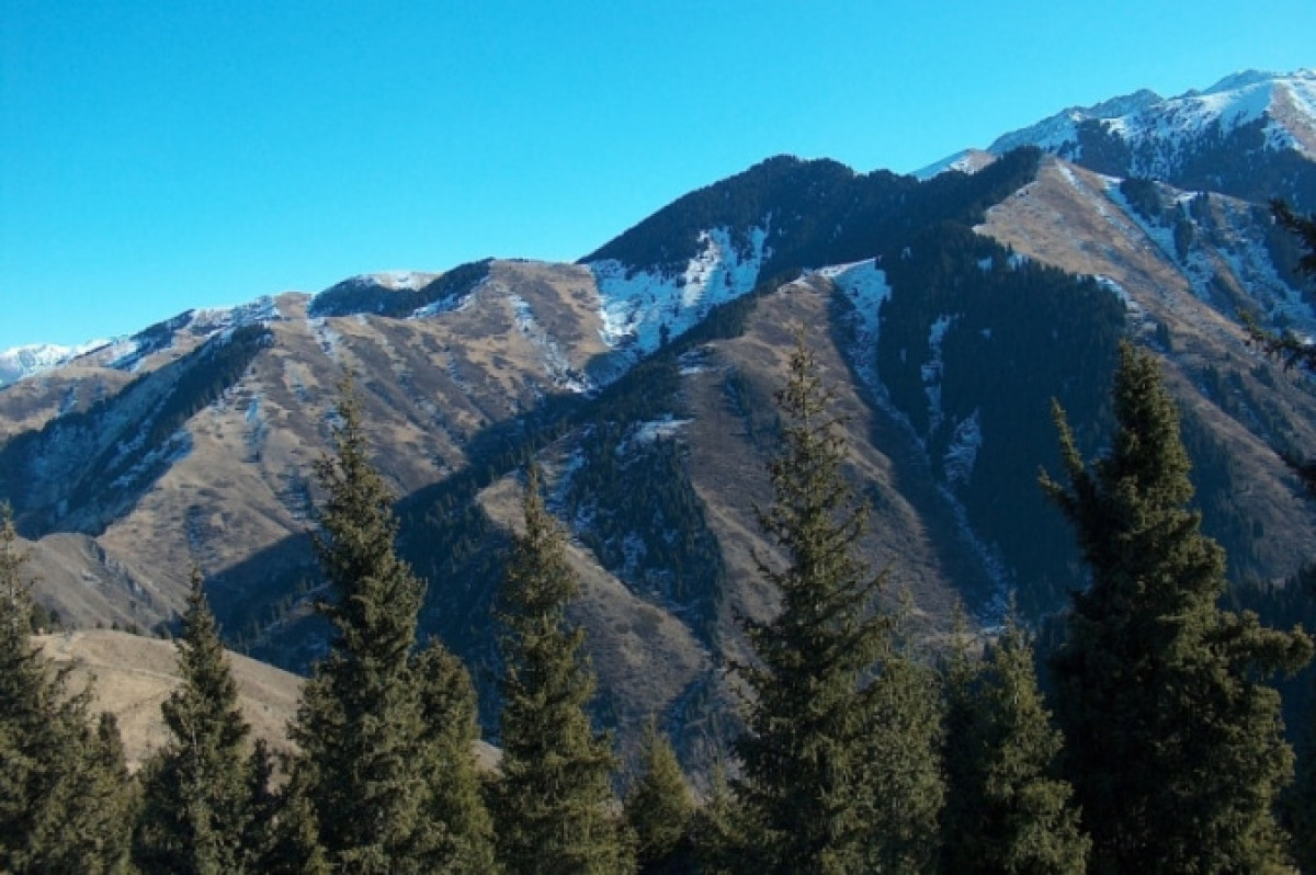  из открытых источников