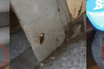 Фотография к новости: В КТЖ извинились за тараканов в поезде Атырау - Мангистау