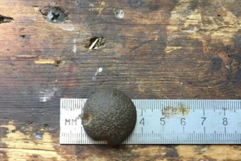 Фотография к новости: Москвич выставил на продажу волшебный камень за 20 миллионов рублей