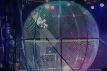 Фотография к новости: Циркач-мотоциклист упал с высоты во время трюка в Подмосковье