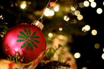 Фотография к новости: В Минфине вновь не будут праздновать Новый год