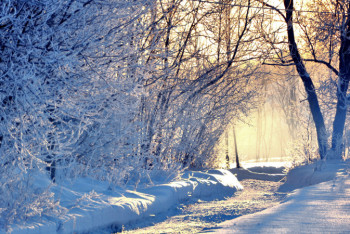 Фотография к новости: Какой будет декабрьская погода в Казахстане
