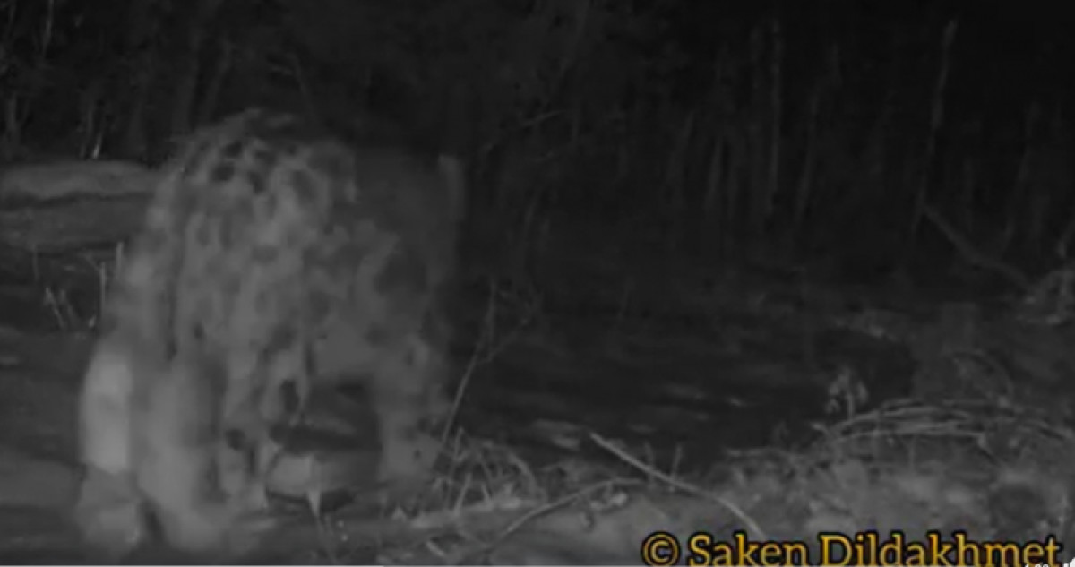  facebook.com/s.dildakhmet