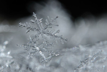 Фотография к новости: Дождь и снег прогнозируют синоптики в Казахстане