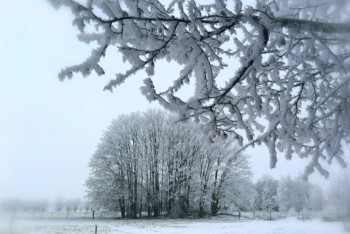 Фотография к новости: Штормовое предупреждение объявлено в столице и четырех областях Казахстана